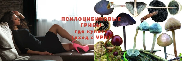 каннабис Абаза