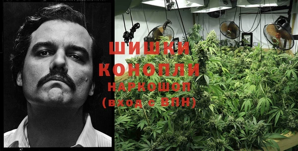 каннабис Абаза
